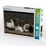 CALVENDO Puzzle Schlafende Hauskatze | 1000 Teile Lege-Größe 64x48cm Foto-Puzzle für glückliche Stunden Spiel
