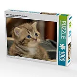 CALVENDO Puzzle Süßes Britisch Kurzhaar Katzenbaby | 1000 Teile Lege-Größe 64x48cm Foto-Puzzle für glückliche Stunden Spiel