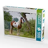 CALVENDO Puzzle Ein Motiv aus dem Kalender Gypsy Horses | 1000 Teile Lege-Größe 64x48cm Foto-Puzzle für glückliche Stunden Spiel