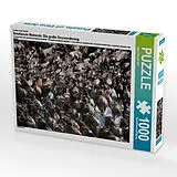 CALVENDO Puzzle Ein Motiv aus dem Kalender Emotionale Momente: Die große Gnuwanderung | 1000 Teile Lege-Größe 64x48cm Foto-Puzzle für glückliche Stunden Spiel