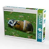 CALVENDO Puzzle Meerschweinchen Dinner | 1000 Teile Lege-Größe 64x48cm Foto-Puzzle für glückliche Stunden Spiel
