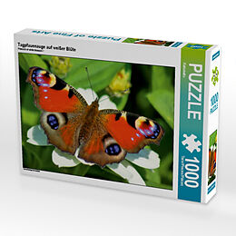 Tagpfauenauge auf weißer Blüte (Puzzle) Spiel