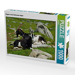 CALVENDO Puzzle Ziegen in den Schweizer Alpen 1000 Teile Lege-Größe 64 x 48 cm Foto-Puzzle Bild von Kattobello Spiel
