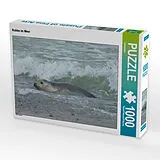 CALVENDO Puzzle Robbe im Meer | 1000 Teile Lege-Größe 64x48cm Foto-Puzzle für glückliche Stunden Spiel