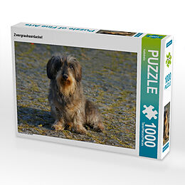 CALVENDO Puzzle Alpaka 1000 Teile | Foto-Puzzle 64x48 Cm | Premium-Qualität Aus Europa