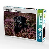 CALVENDO Puzzle Labrador Retriever - Treue Begleiter | 1000 Teile Lege-Größe 64x48cm Foto-Puzzle für glückliche Stunden Spiel