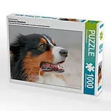 CALVENDO Puzzle Ein Motiv aus dem Kalender Australian Shepherd | 1000 Teile Lege-Größe 64x48cm Foto-Puzzle für glückliche Stunden Spiel
