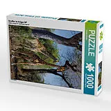 CALVENDO Puzzle Giraffen im Krüger NP | 1000 Teile Lege-Größe 64x48cm Foto-Puzzle für glückliche Stunden Spiel