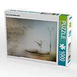 CALVENDO Puzzle Tanz in der Winternacht 1000 Teile Puzzle quer | 1000 Teile Lege-Größe 64 × 48 cm Foto-Puzzle für glückliche Stunden Spiel