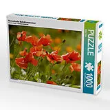 CALVENDO Puzzle Romantische Mohnblumenwiese | 1000 Teile Lege-Größe 64x48cm Foto-Puzzle für glückliche Stunden Spiel