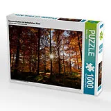 CALVENDO Puzzle Sonnenstrahlen im herbstlichen Wald | 1000 Teile Lege-Größe 64x48cm Foto-Puzzle für glückliche Stunden Spiel