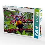 CALVENDO Puzzle Allfarblori - Sunshine Coast - Queensland | 1000 Teile Lege-Größe 64x48cm Foto-Puzzle für glückliche Stunden Spiel