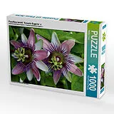CALVENDO Puzzle Passiflora belotii ´Kaiserin Eugenie` x | 1000 Teile Lege-Größe 64x48cm Foto-Puzzle für glückliche Stunden Spiel