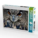 CALVENDO Puzzle Eule 1000 Teile Puzzle quer | 1000 Teile Lege-Größe 64 × 48 cm Foto-Puzzle für glückliche Stunden Spiel