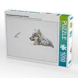 CALVENDO Puzzle Schneebedeckter Wolf liegt im Schnee | 1000 Teile Lege-Größe 64x48cm Foto-Puzzle für glückliche Stunden Spiel