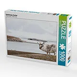 CALVENDO Puzzle Spitzbergen-Rentier | 1000 Teile Lege-Größe 64x48cm Foto-Puzzle für glückliche Stunden Spiel