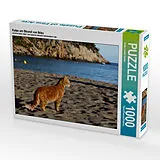 CALVENDO Puzzle Katze am Strand von Ibiza | 1000 Teile Lege-Größe 64x48cm Foto-Puzzle für glückliche Stunden Spiel