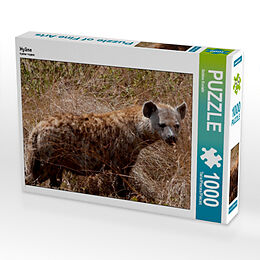 Hyäne (Puzzle) Spiel