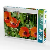 CALVENDO Puzzle Ein Motiv aus dem Kalender Voll Mohn | 1000 Teile Lege-Größe 64x48cm Foto-Puzzle für glückliche Stunden Spiel