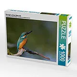 CALVENDO Puzzle Eisvogel auf der Sitzwarte | 1000 Teile Lege-Größe 64x48cm Foto-Puzzle für glückliche Stunden Spiel