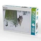 CALVENDO Puzzle Wolf im Winter | 1000 Teile Lege-Größe 64x48cm Foto-Puzzle für glückliche Stunden Spiel