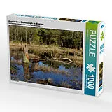 CALVENDO Puzzle Abgestorbene Baumstümpfe im Moorsee im Pietzmoor Schneverdingen | 1000 Teile Lege-Größe 64x48cm Foto-Puzzle für glückliche Stunden Spiel