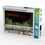 CALVENDO Puzzle Getreide sprießt auch auf dem Fenstersims, wenn der Wind mithilft | 1000 Teile Lege-Größe 64x48cm Foto-Puzzle für glückliche Stunden Spiel