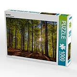 CALVENDO Puzzle Im Wald 1000 Teile Puzzle quer | 1000 Teile Lege-Größe 64 × 48 cm Foto-Puzzle für glückliche Stunden Spiel