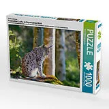 CALVENDO Puzzle Ein Motiv aus dem Kalender Faszination Luchs im Bayerischen Wald 1000 Teile Puzzle quer | 1000 Teile Lege-Größe 64 × 48 cm Foto-Puzzle für glückliche Stunden Spiel