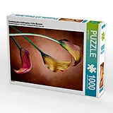 CALVENDO Puzzle Zantedeschia Aethiopica, Calla Blumen | 1000 Teile Lege-Größe 64x48cm Foto-Puzzle für glückliche Stunden Spiel