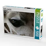 CALVENDO Puzzle Giraffen - Augen-Blick | 1000 Teile Lege-Größe 64x48cm Foto-Puzzle für glückliche Stunden Spiel