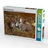 CALVENDO Puzzle Niedliche Kaninchenkinder | 1000 Teile Lege-Größe 64x48cm Foto-Puzzle für glückliche Stunden Spiel