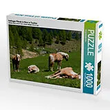 CALVENDO Puzzle Haflinger Pferde in Rein in Taufers | 1000 Teile Lege-Größe 64x48cm Foto-Puzzle für glückliche Stunden Spiel