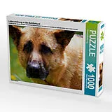 CALVENDO Puzzle Liebeserklärung an den Schäferhund | 1000 Teile Lege-Größe 64x48cm Foto-Puzzle für glückliche Stunden Spiel