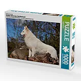 CALVENDO Puzzle Ein Motiv aus dem Kalender Weißer Schweizer Schäferhund | 1000 Teile Lege-Größe 64x48cm Foto-Puzzle für glückliche Stunden Spiel