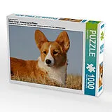 CALVENDO Puzzle Ein Motiv aus dem Kalender Welsh Corgi - Kobold auf 4 Pfoten | 1000 Teile Lege-Größe 64x48cm Foto-Puzzle für glückliche Stunden Spiel