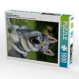 CALVENDO Puzzle Ein Motiv aus dem Kalender Faszination Wolfhund | 1000 Teile Lege-Größe 64x48cm Foto-Puzzle für glückliche Stunden Spiel