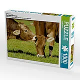 CALVENDO Puzzle Ein Motiv aus dem Kalender Ein Herz für Rinder | 1000 Teile Lege-Größe 64x48cm Foto-Puzzle für glückliche Stunden Spiel