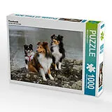 CALVENDO Puzzle Flusshunde | 1000 Teile Lege-Größe 64x48cm Foto-Puzzle für glückliche Stunden Spiel