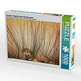 CALVENDO Puzzle Labyrinth - Tropfen in den Fallschirmsamen | 1000 Teile Lege-Größe 64x48cm Foto-Puzzle für glückliche Stunden Spiel