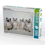 CALVENDO Puzzle Heilige Birma Katzen | 1000 Teile Lege-Größe 64x48cm Foto-Puzzle für glückliche Stunden Spiel