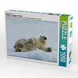CALVENDO Puzzle Ein Motiv aus dem Kalender Eisbären - Könige der Arktis | 1000 Teile Lege-Größe 64x48cm Foto-Puzzle für glückliche Stunden Spiel