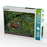 CALVENDO Puzzle König des Waldes | 1000 Teile Lege-Größe 64x48cm Foto-Puzzle für glückliche Stunden Spiel