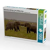CALVENDO Puzzle Spielstunde der Elefanten in freier Wildbahn. Kenia | 1000 Teile Lege-Größe 64x48cm Foto-Puzzle für glückliche Stunden Spiel