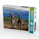 CALVENDO Puzzle Giraffen. Faszinierende Wildtiere Afrikas | 1000 Teile Lege-Größe 64x48cm Foto-Puzzle für glückliche Stunden Spiel