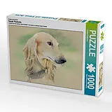 CALVENDO Puzzle Ein Motiv aus dem Kalender Saluki Portraits | 1000 Teile Lege-Größe 64x48cm Foto-Puzzle für glückliche Stunden Spiel