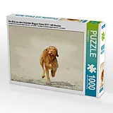 CALVENDO Puzzle Ein Bild aus dem Kalender Magyar Vizsla 2017 / UK-Version | 1000 Teile Lege-Größe 64x48cm Foto-Puzzle für glückliche Stunden Spiel