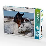 CALVENDO Puzzle Pferde - kraftvolle Eleganz | 1000 Teile Lege-Größe 64x48cm Foto-Puzzle für glückliche Stunden Spiel