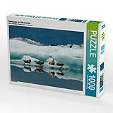 CALVENDO Puzzle Seehunde im Jökulsarlon | 1000 Teile Lege-Größe 64x48cm Foto-Puzzle für glückliche Stunden Spiel