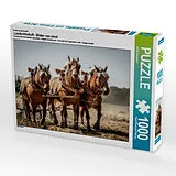 CALVENDO Puzzle Ein Motiv aus dem Kalender Landwirtschaft - Bilder von einst | 1000 Teile Lege-Größe 64x48cm Foto-Puzzle für glückliche Stunden Spiel